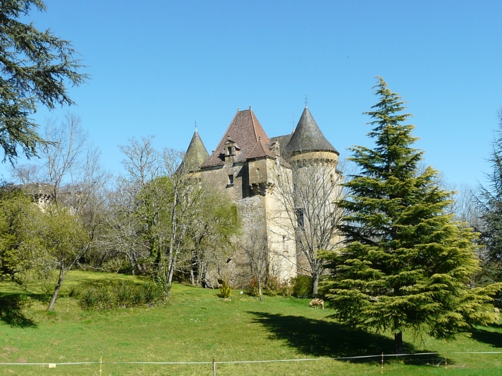 Le château   Crédit : André Pommiès - Montcléra