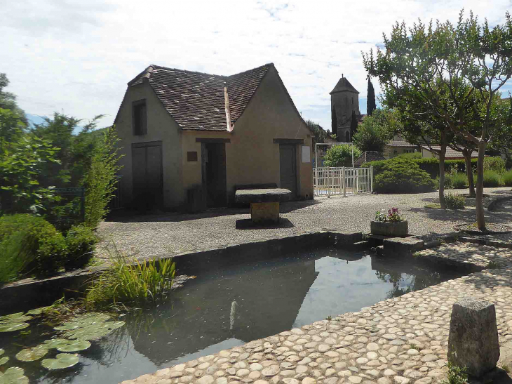 L'église du bourg vue de la fontaine - Nuzéjouls