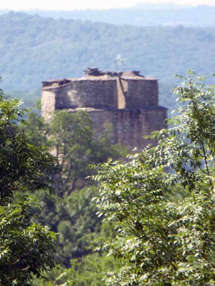 Vue sur le château de Roussillon - Saint-Pierre-Lafeuille