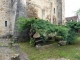 Photo suivante de Saint-Pierre-Toirac tombes mérovingiennes
