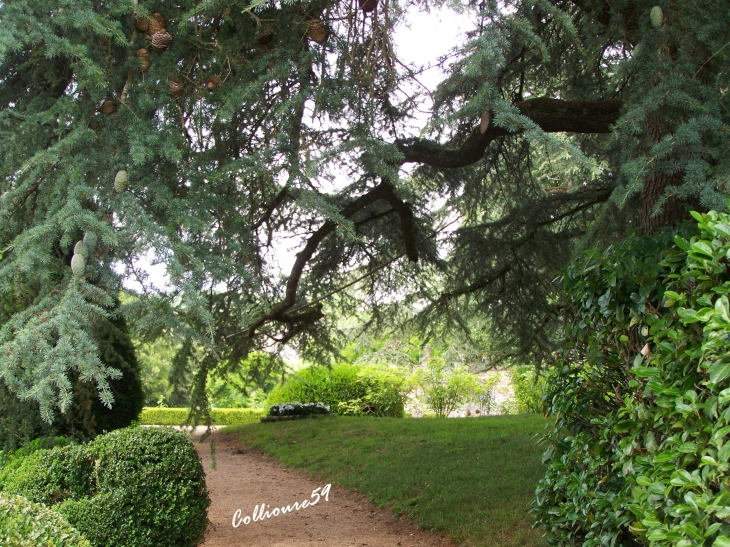 Chateau de La Treyne-sur-Dordogne commune de Souillac ( Lot )