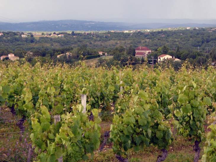Le vignoble de Cahors - Trespoux-Rassiels