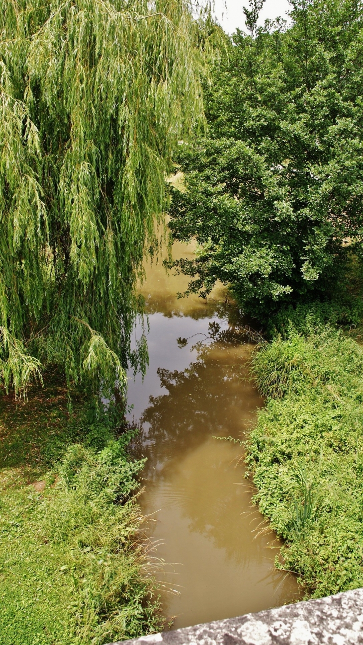 Ruisseau de Tessonne - Bourret