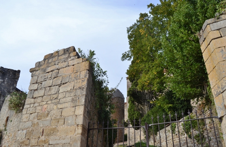 <Ruines du Château de Bruniquel