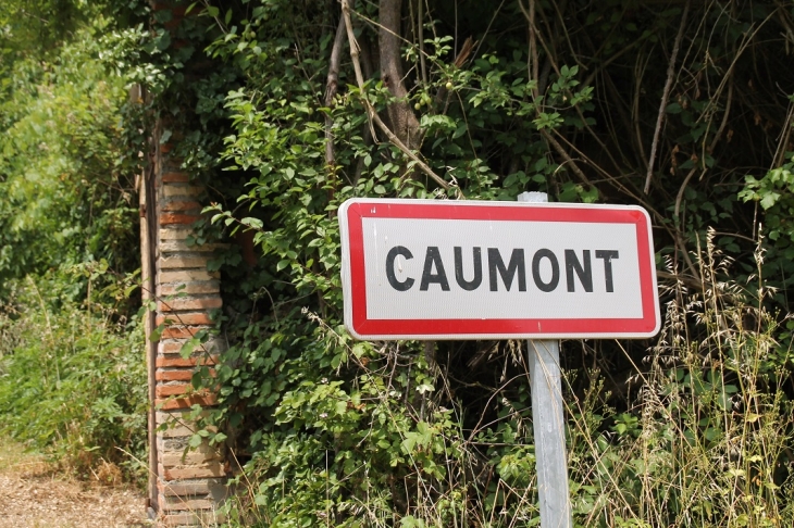  - Caumont