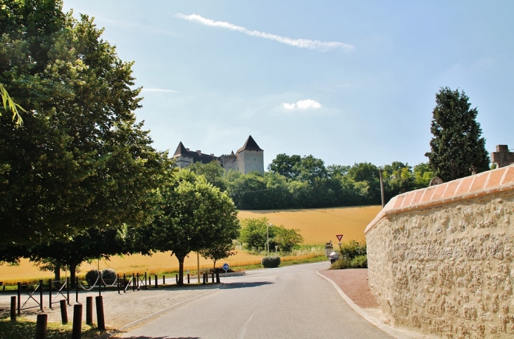 Le Château - Goudourville