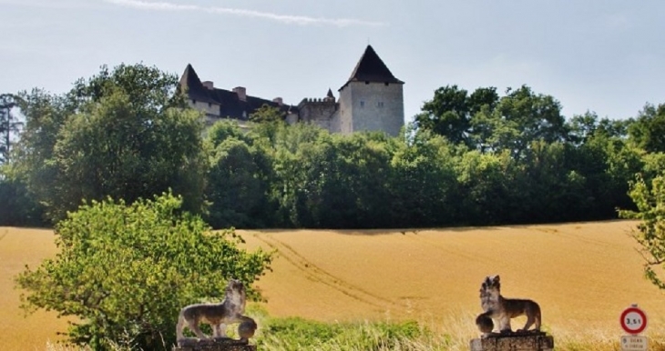 Le Château - Goudourville
