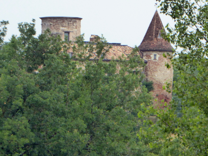 Le château - Labarthe