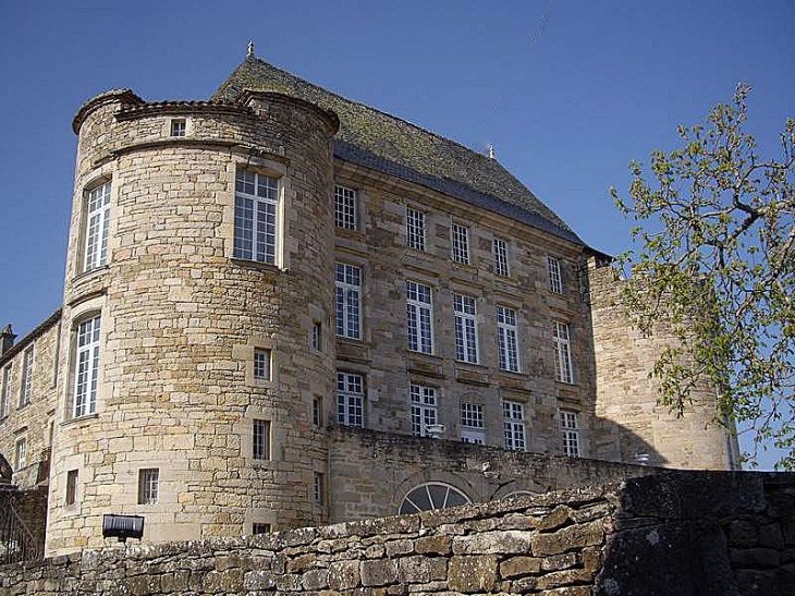 Le château - Saint-Projet