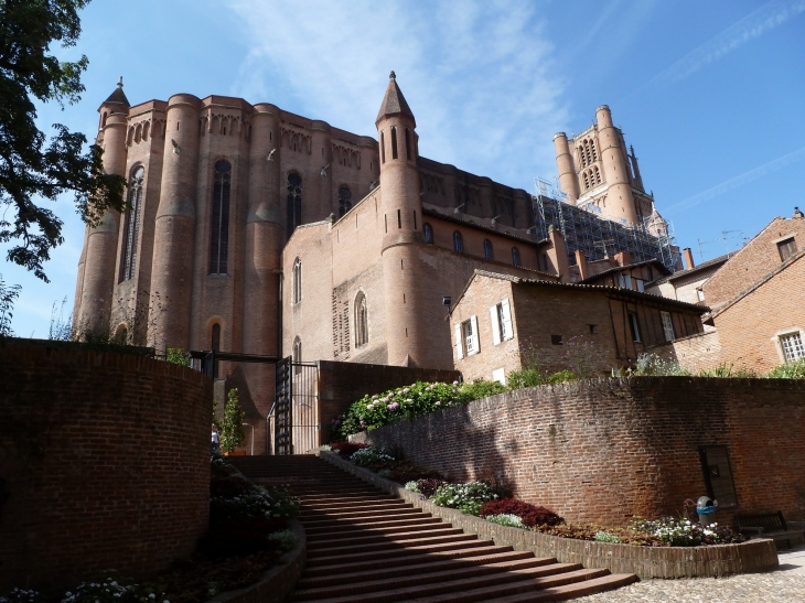 Albi