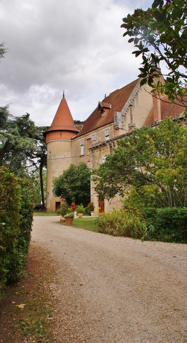   Château de la Serre - Cambounet-sur-le-Sor
