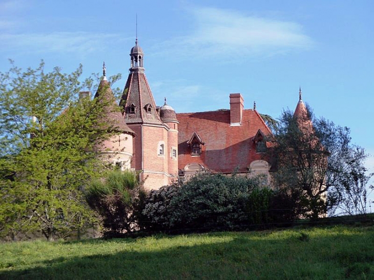 Le château - Cambounet-sur-le-Sor