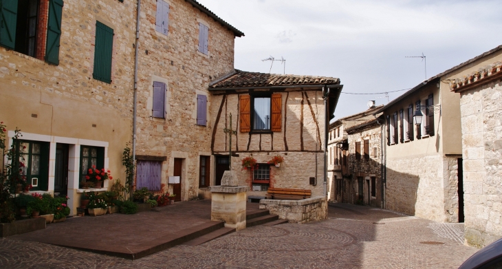  - Castelnau-de-Montmiral