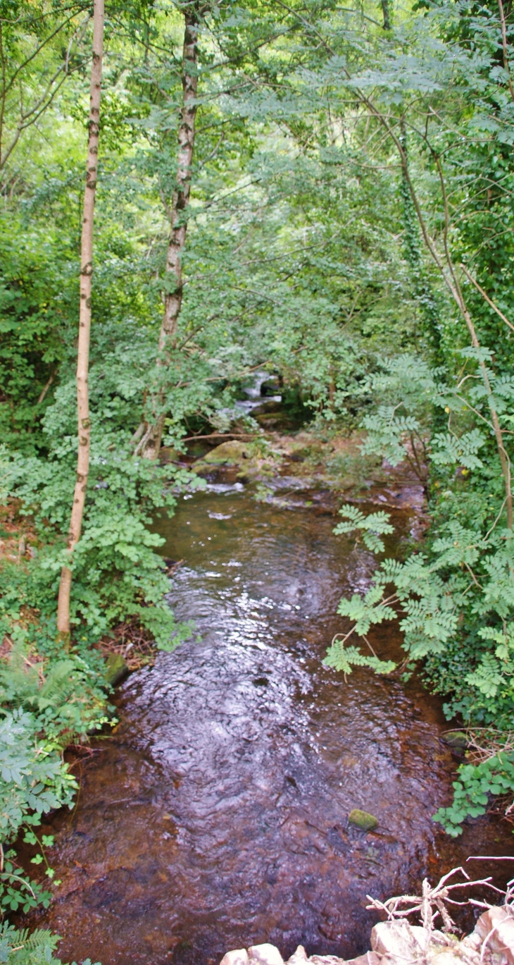Ruisseau Le Vassorgues - Durfort