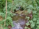 Photo précédente de Durfort Ruisseau Le Vassorgues