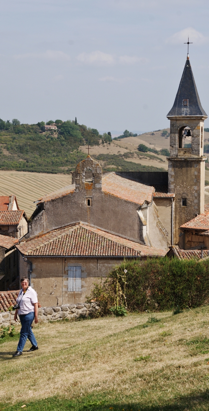 Collégiale Saint-Rémy 14 Em Siècle - Lautrec