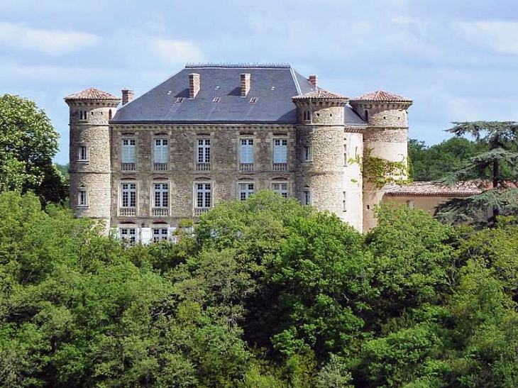 Un château - Lautrec