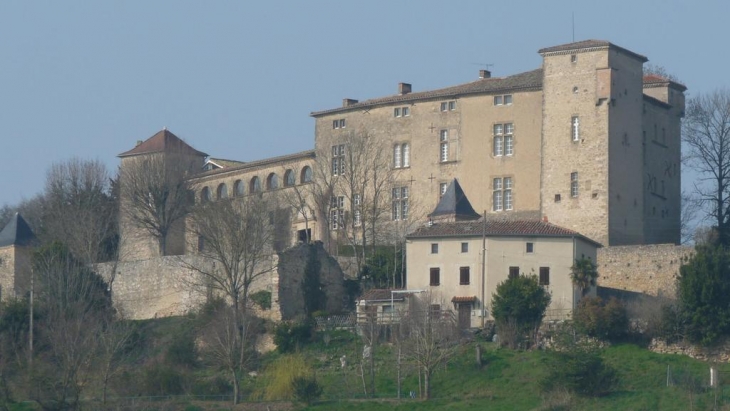 Chateau de montgey
