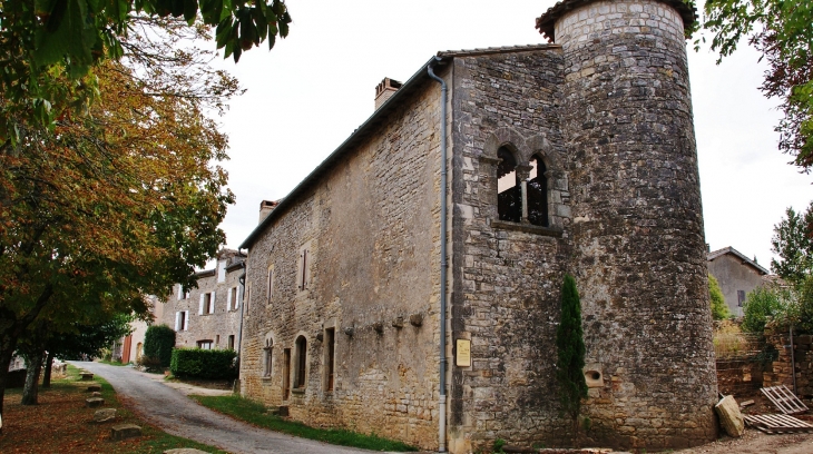 ²²Château dit du Capitaine Royal 14 Em Siècle - Puycelci