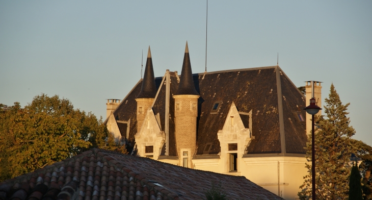-Château de Creyssens - Puygouzon