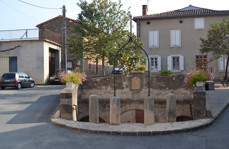 Fontaine de la Frèjaire ( 17 Em Siècle ) - Réalmont