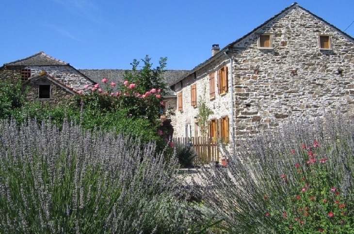Maison en pierre et ardoise du 18°s - Saint-Cirgue