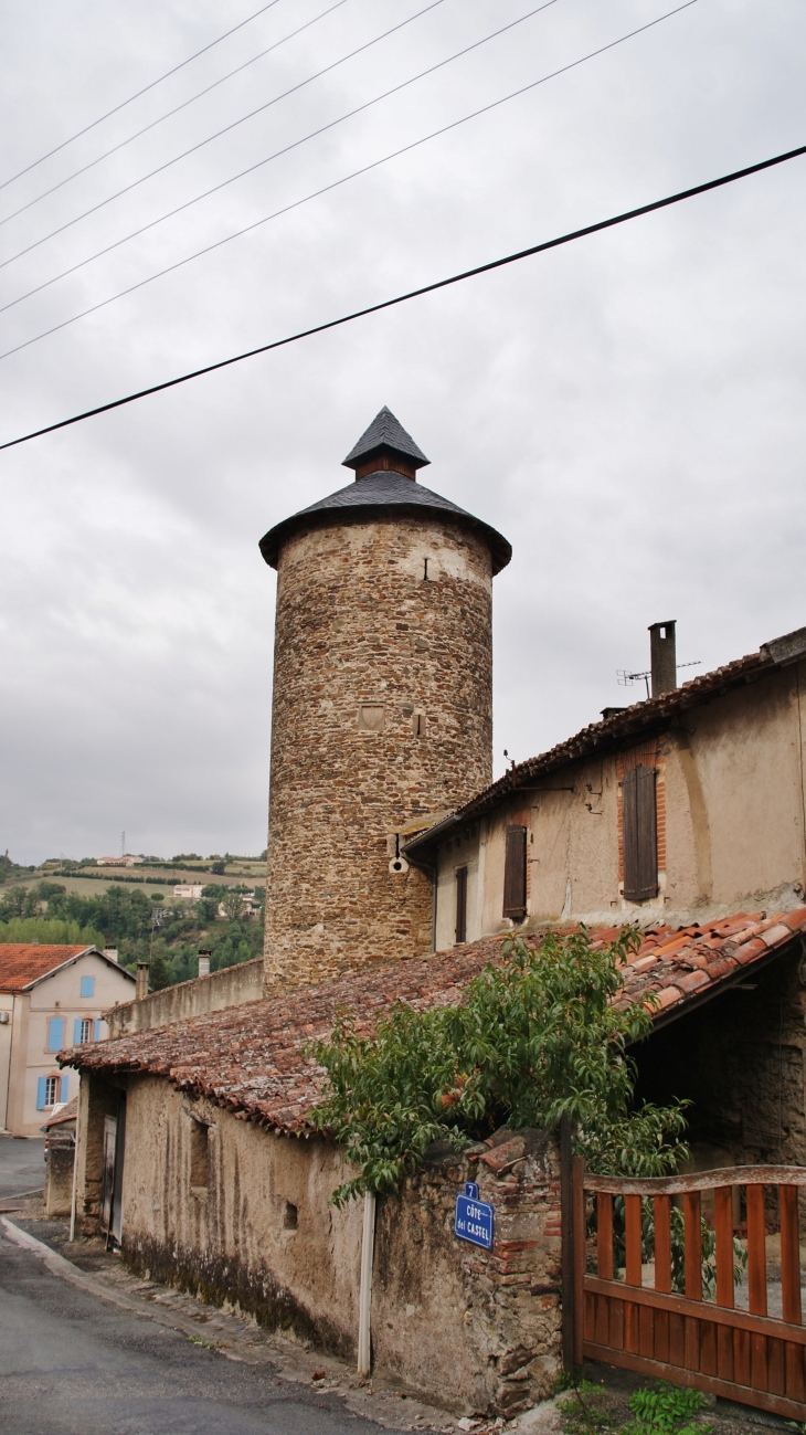 Tour du Castel - Saint-Juéry