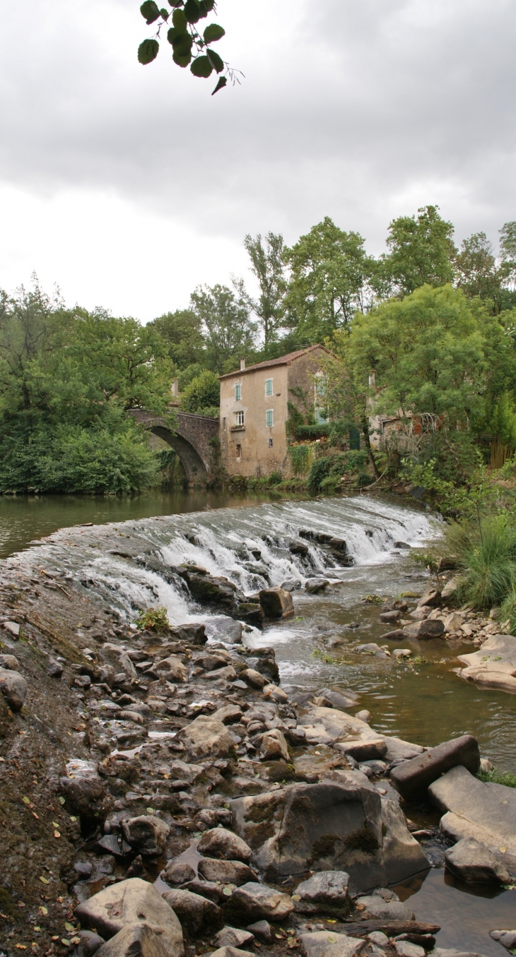 Le Dadou - Saint-Lieux-Lafenasse