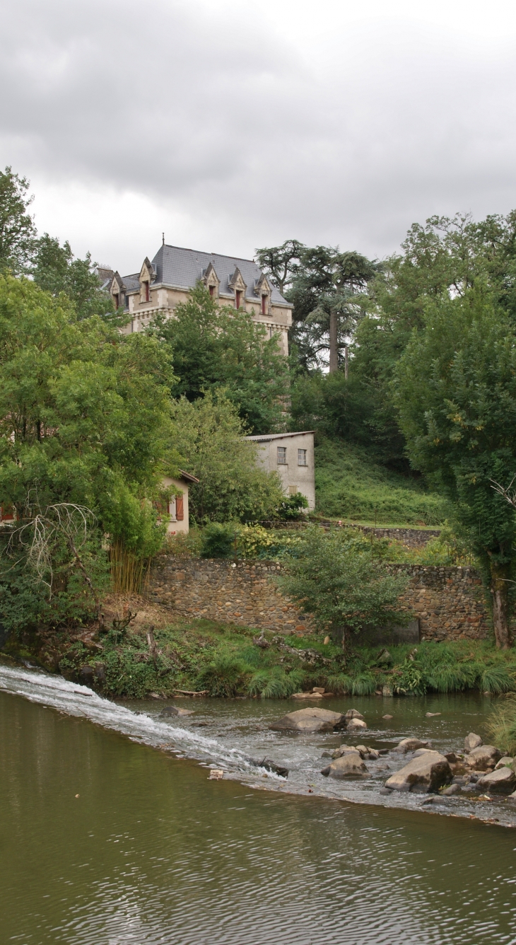 Château de Lafenasse - Saint-Lieux-Lafenasse