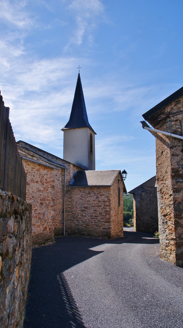 **Eglise Saint-Salvi de Carcavès - Saint-Salvi-de-Carcavès