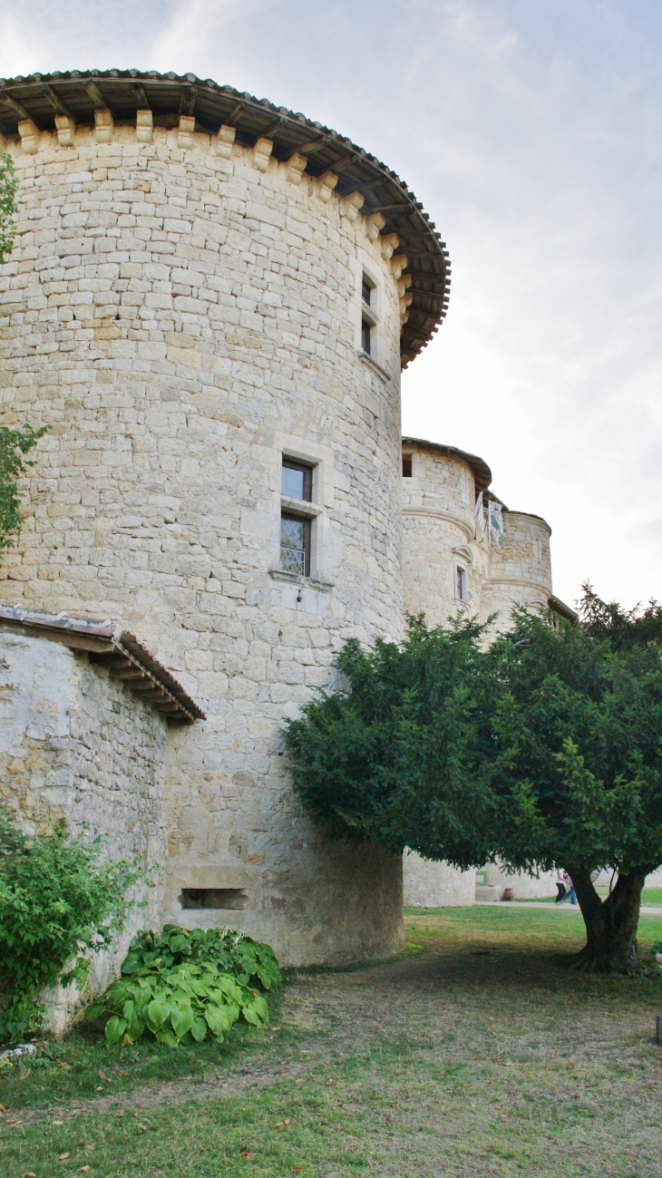 *Château de Mauriac - Senouillac