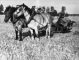 Photo suivante de Anhiers en 1950 Anhiers comptit 10 fermes, aujourd'hui zéro