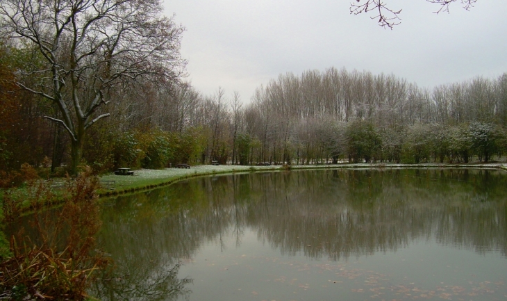 L'étang - Ennevelin