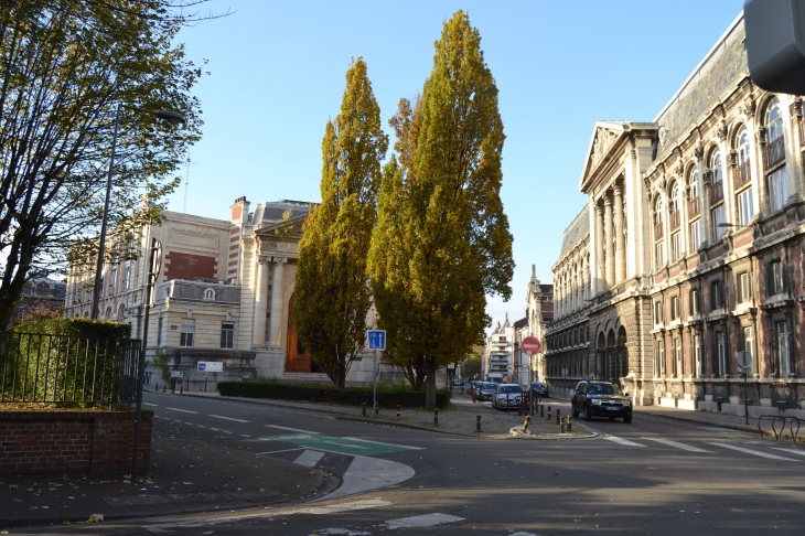 Université Lille III rue Angelier