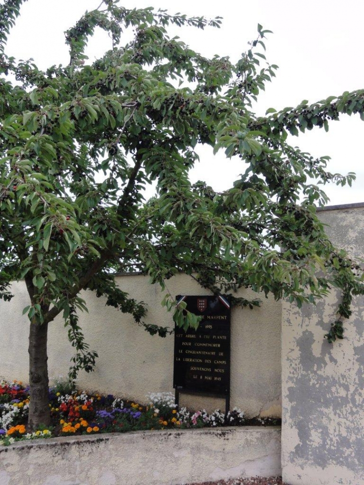 Marpent (59164) arbre-souvenir du 8 mai 1945