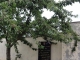 Marpent (59164) arbre-souvenir du 8 mai 1945