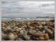 Photo suivante de Audinghen plage du cap gris nez ave le blanc nez dans le fond:mon site:http://gontrand62.fond-ecran-image.com/blog-photo/