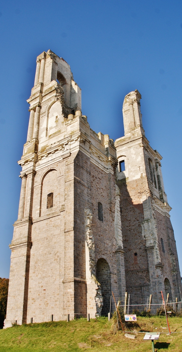 Ruines de L'Abbaye  - Mont-Saint-Éloi