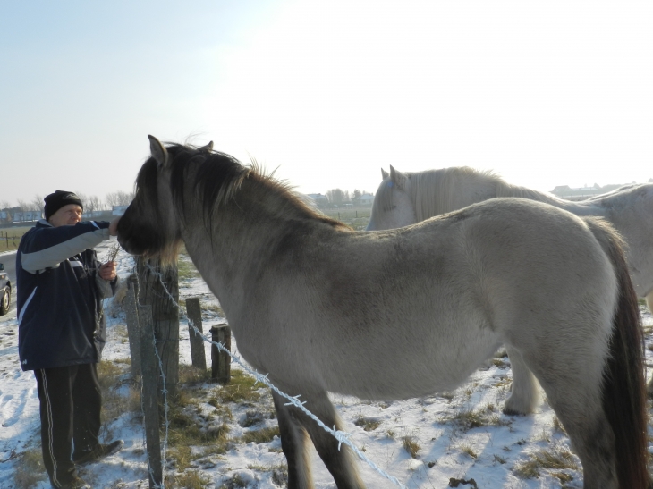 PHOTOS PRISE SUR UNE ROUTE DE OYE PLAGE - Oye-Plage