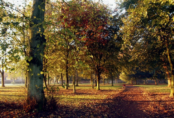 PARC - Sains-en-Gohelle