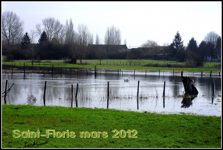 Derniers sursauts de l' hiver à la mi-mars 2012 - Saint-Floris