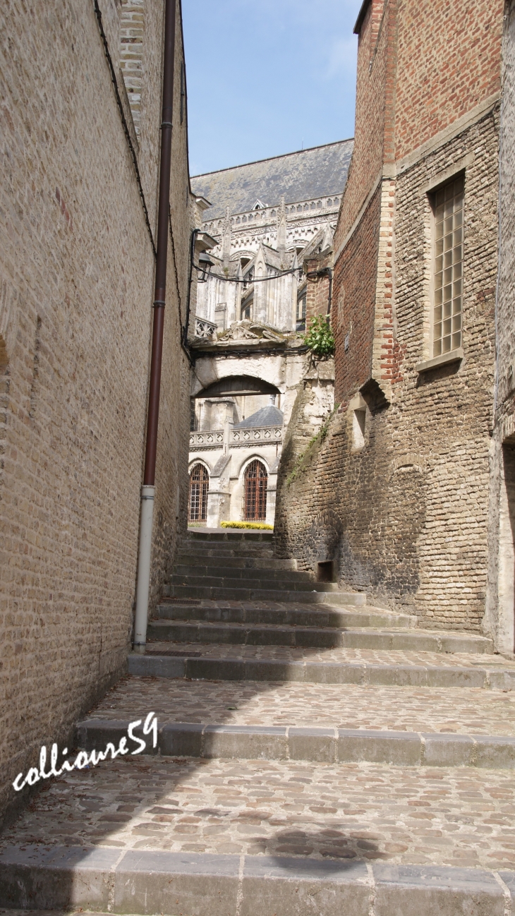 Ruelle menant a la Cathédrale  - Saint-Omer