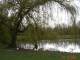 etang du bois de carieul