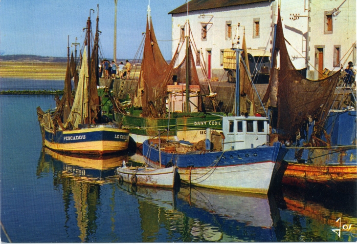 Bâteaux de pêche devant la criée (carte postale de 1960) - Le Croisic