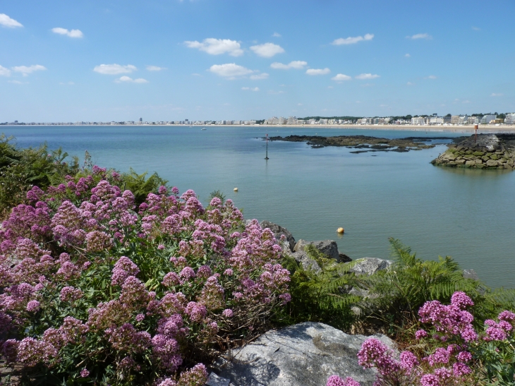 Vue sur La Baule  Crédit : André Pommiès - Pornichet