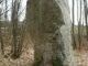 Photo précédente de Vay menhir de la drouetterie vay monument historique