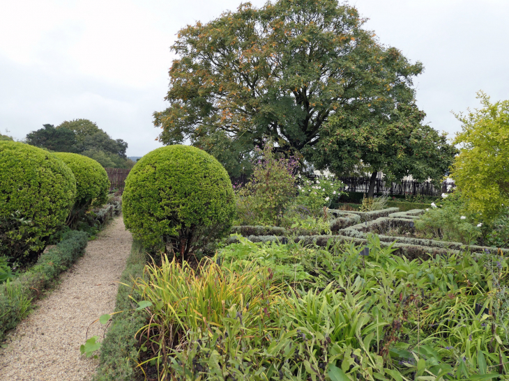 Le château : les jardins en terrasse  - Angers