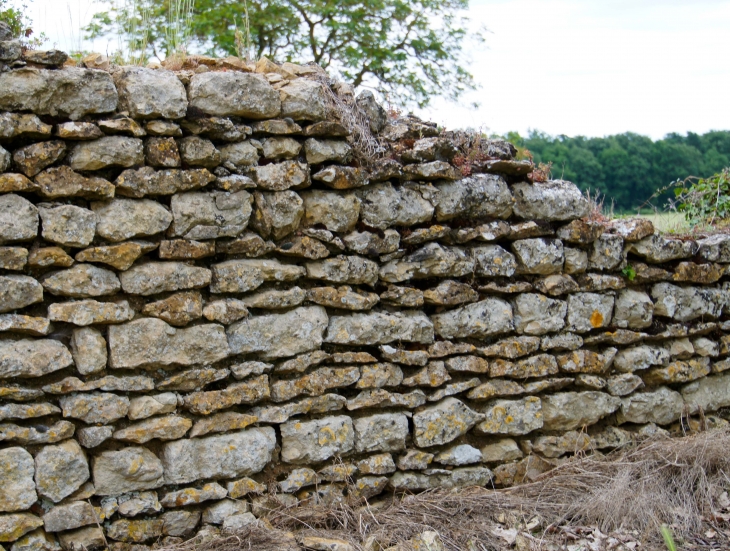 Mur de pierres à Meigné. - Brézé