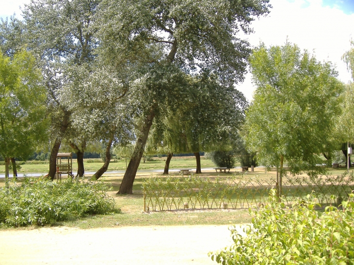 Un grand parc ombragé  pour un pique-nique au bord de la Sartre - Briollay
