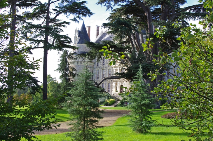 Le château de Brissac.  Le château appartient à la famille des Cossé-Brissac depuis 1502. Ce château est remarquable par sa hauteur. - Brissac-Quincé